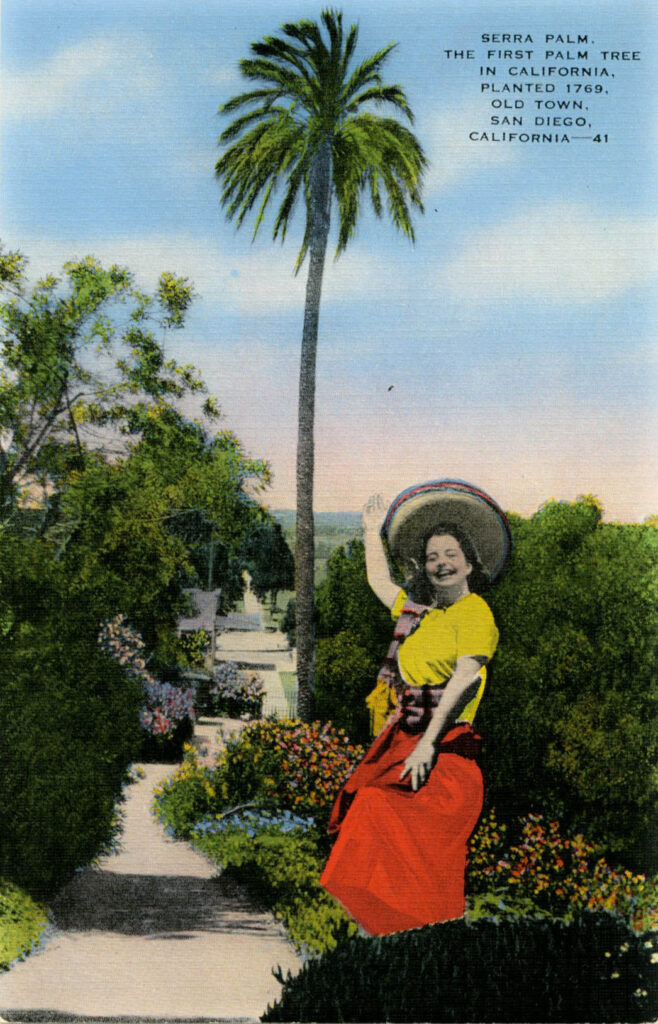 Serra Palm postcard