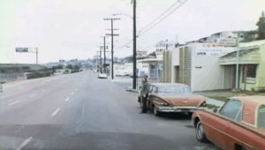 The Swing, San Diego, 1972.